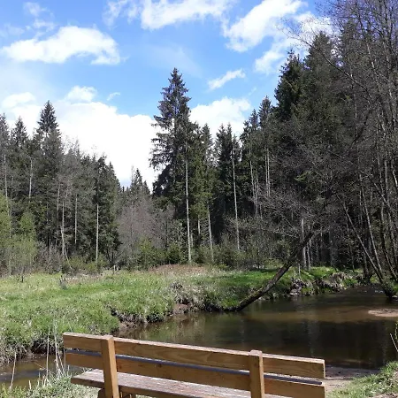 Anno - Wohlfuehl - Idylle In Gruenbach_kirchdorf Apartment